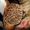 AFRIKOA Bean to Bar Experience